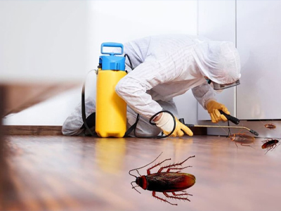Best Pest Control Service