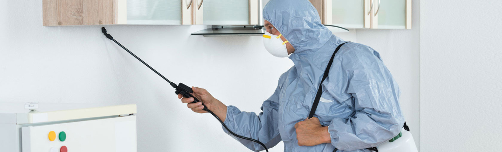 Best Disinfection & Sanitization Service